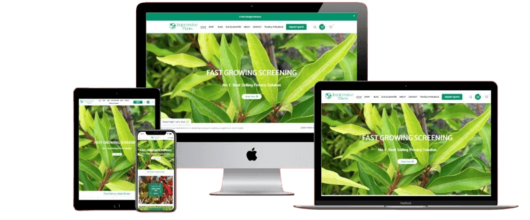 untitled.212wq21 removebg preview